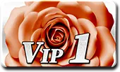 vip1